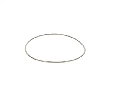 BOSCH 2440210044 O-Ring - 25. Görsel