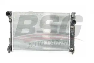 BSG 60520037 Su Radyatörü