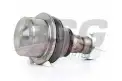 BSG 60310034 Rotil Alt
