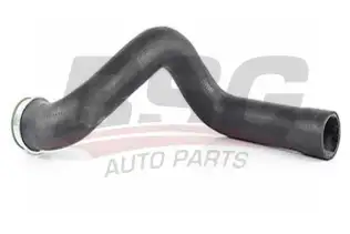 BSG 65720054 Turbo Hortumu