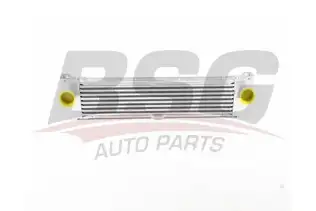 BSG 60535025 Turbo Radyatörü