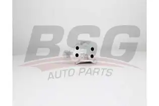 BSG 15506027 Yağ Radyatörü