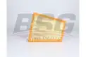 BSG 60135042 Hava Filtresi
