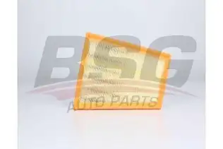 BSG 60135042 Hava Filtresi