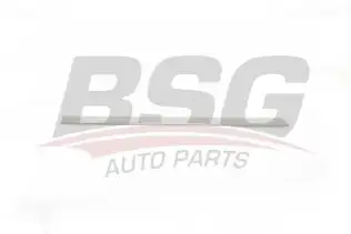 BSG 90924024 Kapı Bandı Arka Sağ