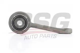 BSG 60310175 Viraj Askı Rotu Ön Sağ