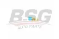 BSG 25840010 Hararet Müşürü