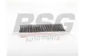 BSG 70145020 Polen Filtresi