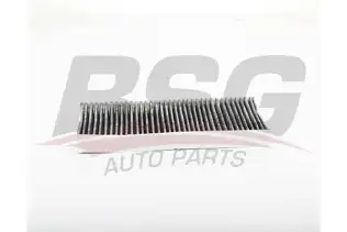 BSG 70145020 Polen Filtresi
