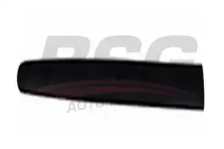 BSG 70924009 Kapı Bandı Ön Sağ