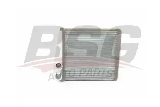 BSG 60530007 Kalorifer Radyatörü