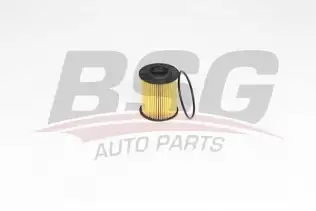 BSG 90140024 Yağ Filtresi