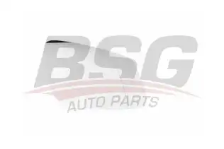 BSG 15910003 Ayna Camı Sağ
