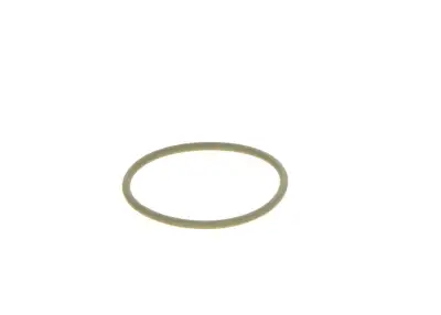 BOSCH 2440210052 O-Ring - 18. Görsel