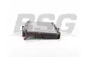 BSG 40520059 Su Radyatörü