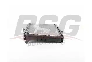 BSG 40520059 Su Radyatörü