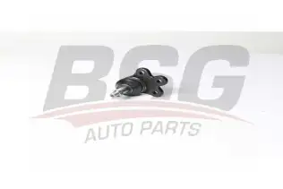 BSG 65310086 Rotil Alt