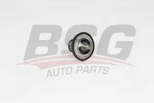 BSG 40126009 Termostat