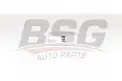 BSG 60130009 Yakıt Filtresi