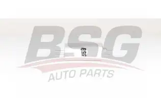 BSG 60130009 Yakıt Filtresi