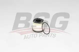 BSG 30130017 Yakıt Filtresi