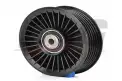 BSG 65615025 V Kayış Gergi Rulmanı