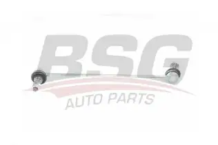BSG 60310225 Viraj Askı Rotu Ön