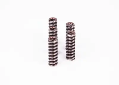 BOSCH 2434614022 Basınç Yayı - 8. Görsel