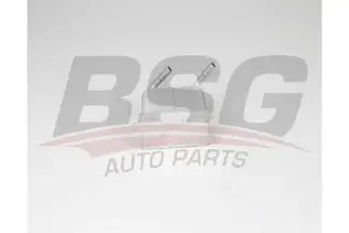 BSG 15506030 Yağ Soğutucusu