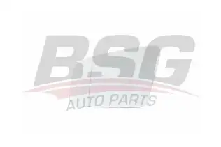 BSG 60910044 Ayna Camı Sol