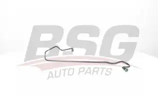 BSG 25725003 Enjektör Pompaya Gidiş Hortumu