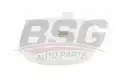 BSG 65550011 Radyatör Yedek Su Deposu