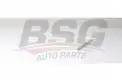 BSG 40145020 Polen Filtresi