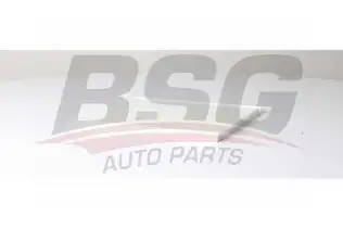 BSG 40145020 Polen Filtresi