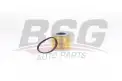 BSG 75130011 Yakıt Filtresi