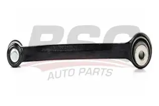 BSG 60310051 Salıncak Arka