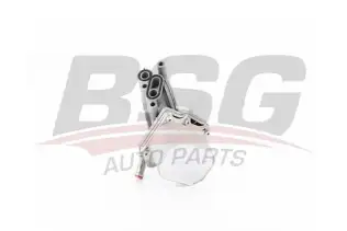 BSG 30506006 Yağ Soğutucu