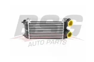 BSG 70535009 Turbo Radyatörü