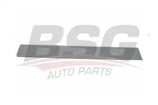 BSG 70975037 Sürgülü Kapı Bandı