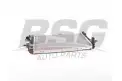 BSG 65520040 Su Radyatörü