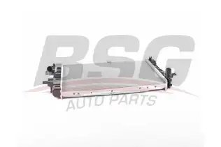 BSG 65520040 Su Radyatörü