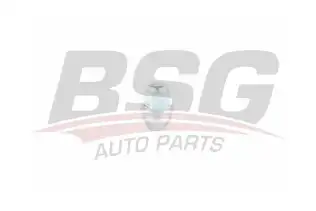 BSG 30230049 Bijon Somunu