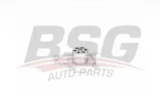 BSG 75500002 Devirdaim