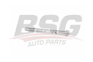 BSG 30236003 Vakum Pompa Tahrik Mili