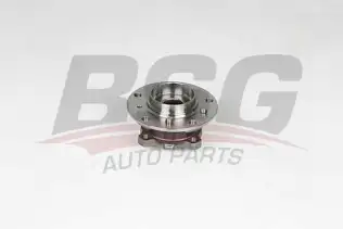 BSG 15600002 Porya Ön