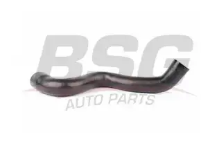 BSG 90720049 Turbo Hortumu