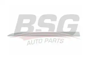 BSG 65925046 Kapı Bandı Arka Sağ