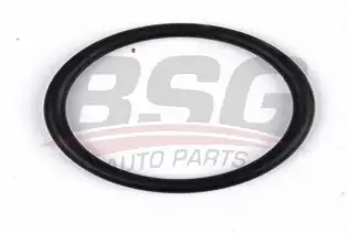 BSG 30230042 Silindir Kapak Su Çıkış Boru Oringi