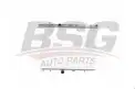 BSG 70520020 Su Radyatörü
