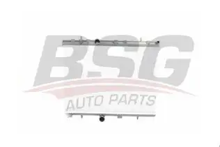 BSG 70520020 Su Radyatörü